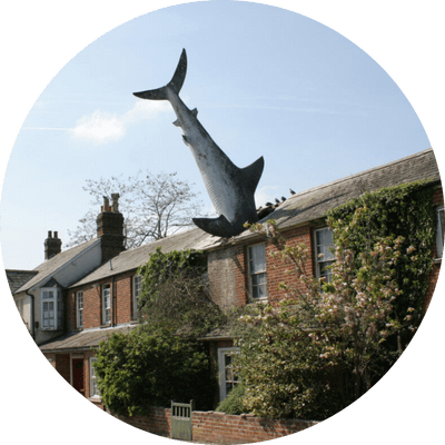 25 foot model of a shark in the roof of a house.