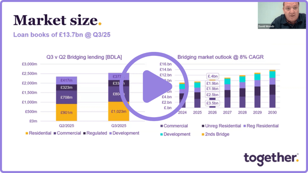 Screenshot featuring stats on the size of the bridging market presented by Dave Woods, Product Analytics Manager at Together