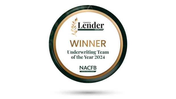 Underwriting Team of the Year 2024 award logo
