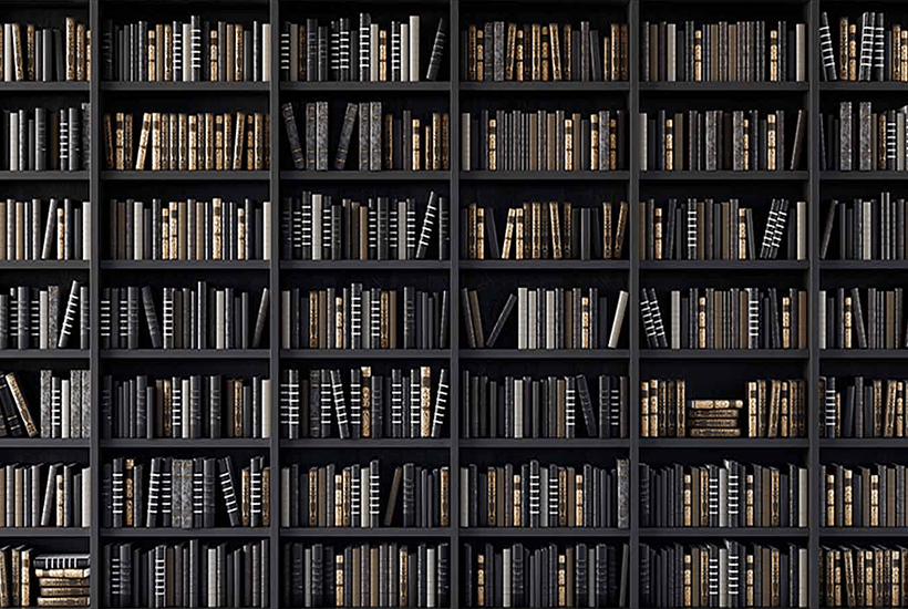 book shelves full of books - l