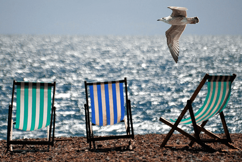 striped deckchairs on a pebble beach with a seagull flying over - l