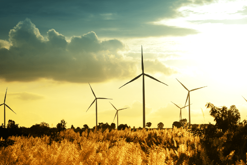 Sunny field with wind turbines.