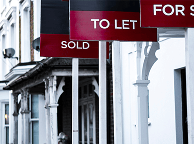 A row of terraced houses with different types of occupancy signs - panel