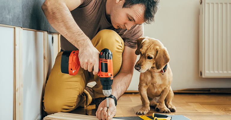 Man doing renovation work at home together with his small yellow dog - s