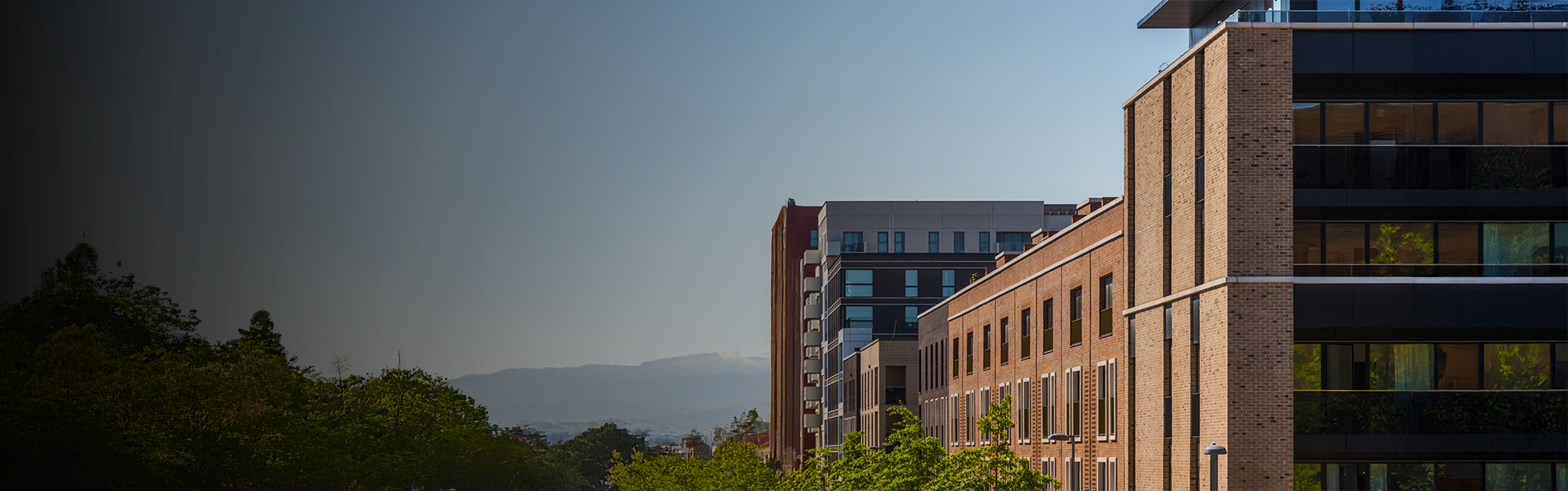 A wide shot of different sized buildings with trees covering the view of the road.